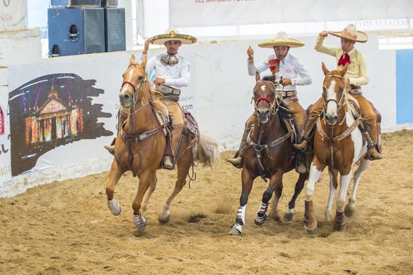 Traditional Mexican Cowboy Show