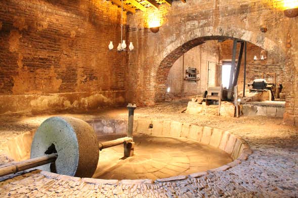 Escursione a Casa Herradura e alla tenuta San José del Refugio