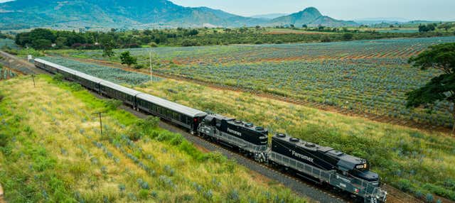 Excursión a Tequila en el tren Tequila Express