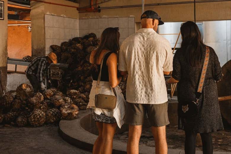 Conociendo procesos artesanales para elaborar tequila