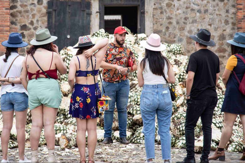 En la visita a una de las destilerías de tequila