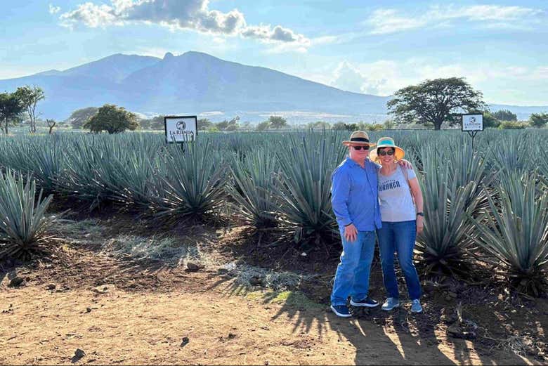 En un campo de agave azul