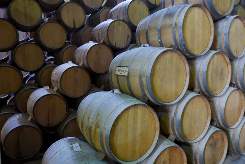 Instalaciones de Mundo Cuervo