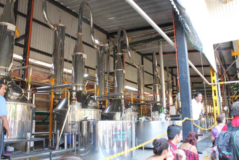 À la découverte de la distillerie