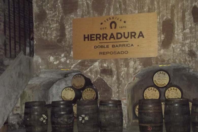 Fûts de tequila dans l'ancienne usine