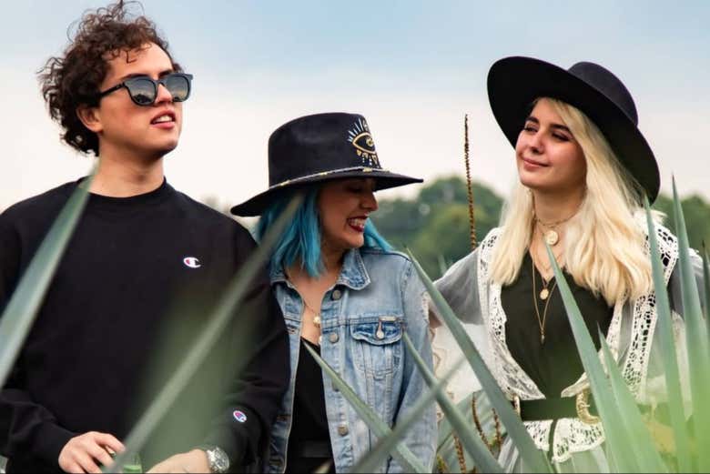 Disfrutando de los paisajes de agave