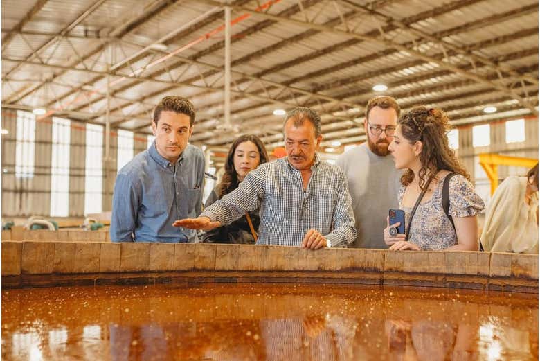 Vamos conhecer a tradição da tequila dos Altos de Jalisco