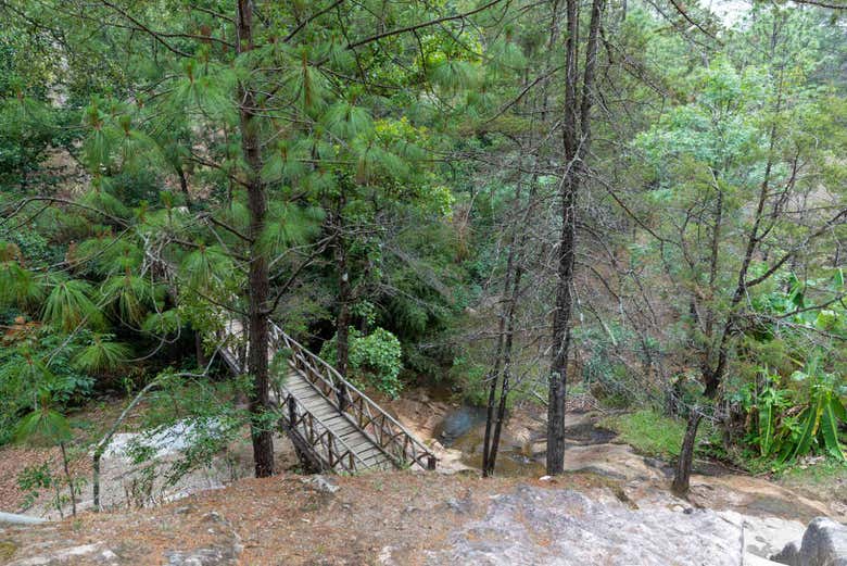 Ambiente natural de Mazamitla