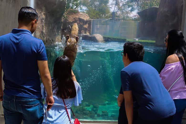 Turisti nell'Acquario Michin Guadalajara