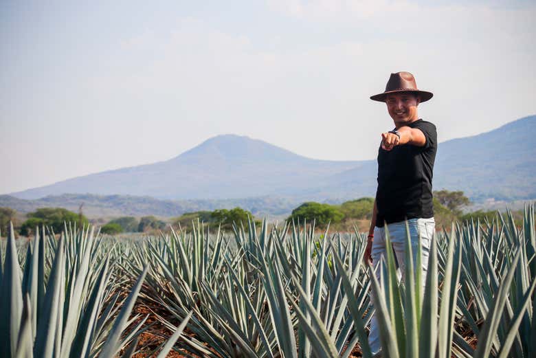 Visitamos una destilería de tequila local