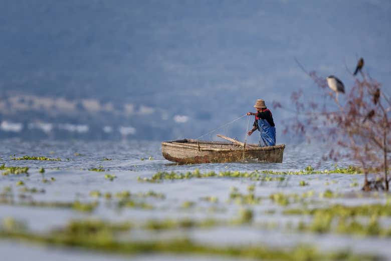Lake Chapala