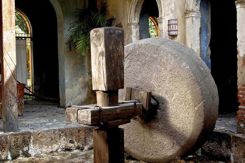 Descubriendo la historia del tequila