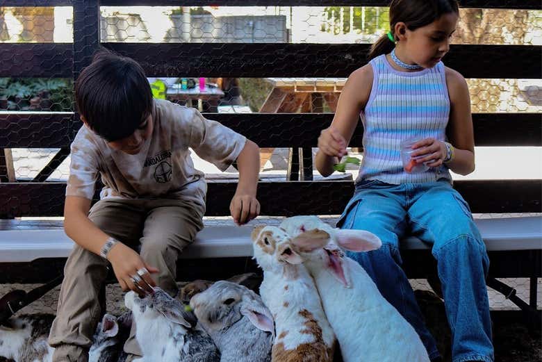 Bambini che giocano con i conigli dell'Acquario Michin