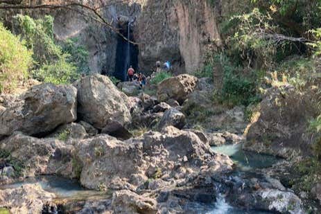 Profitez d'une excursion en pleine nature