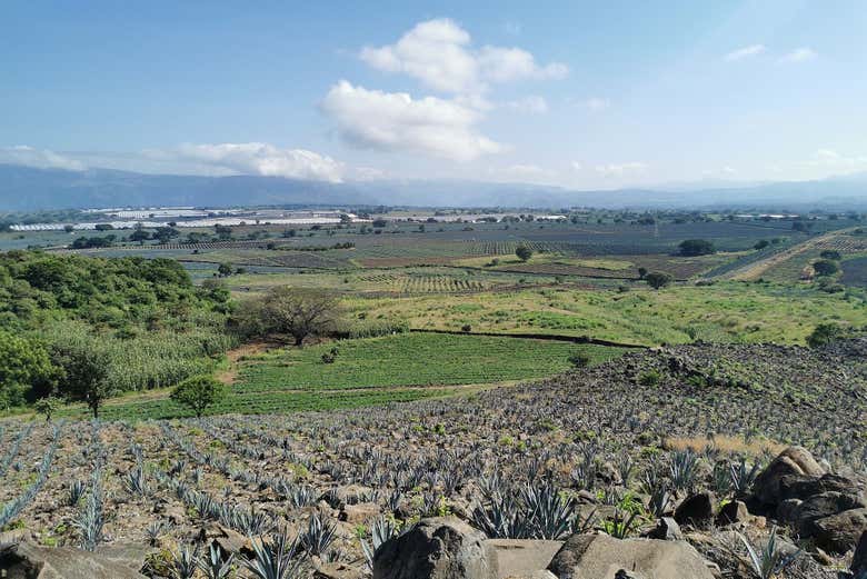 Get great views of the landscapes