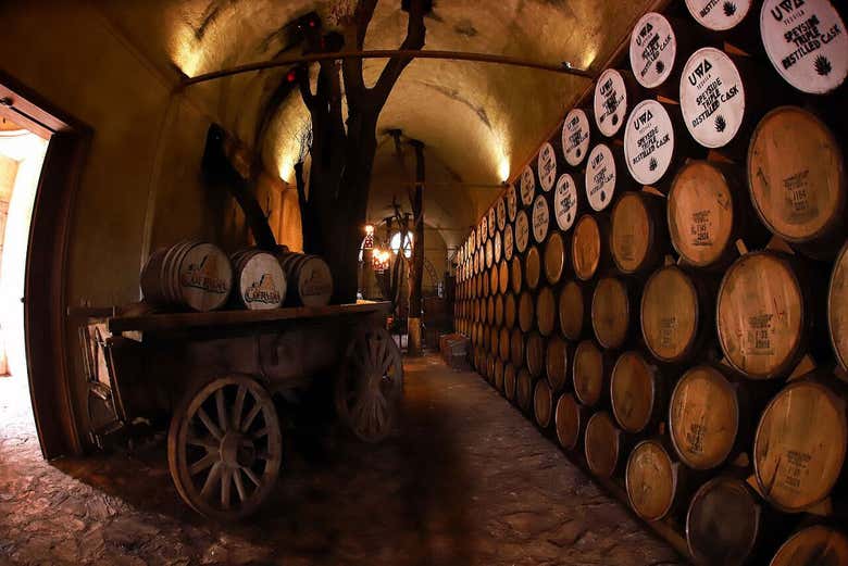 Visit the tequila storeroom
