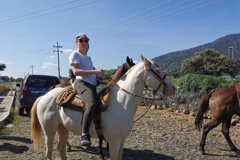 Horse riding in Tequila
