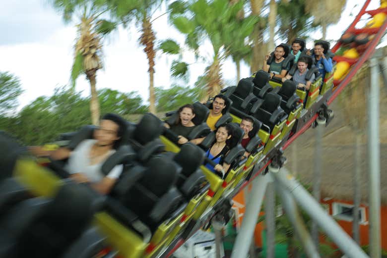 Divertimento allo stato puro!