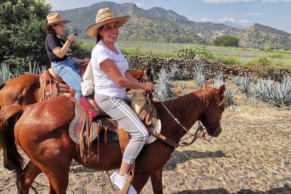 Paseo a caballo por Tequila + Visita a una destilería con cata