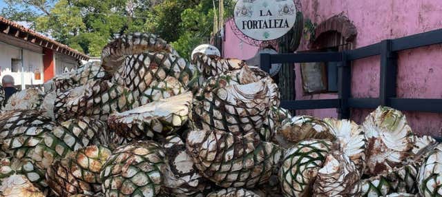 Tour privado por la destilería de tequila La Fortaleza