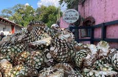 Tour privado por la destilería de tequila La Fortaleza