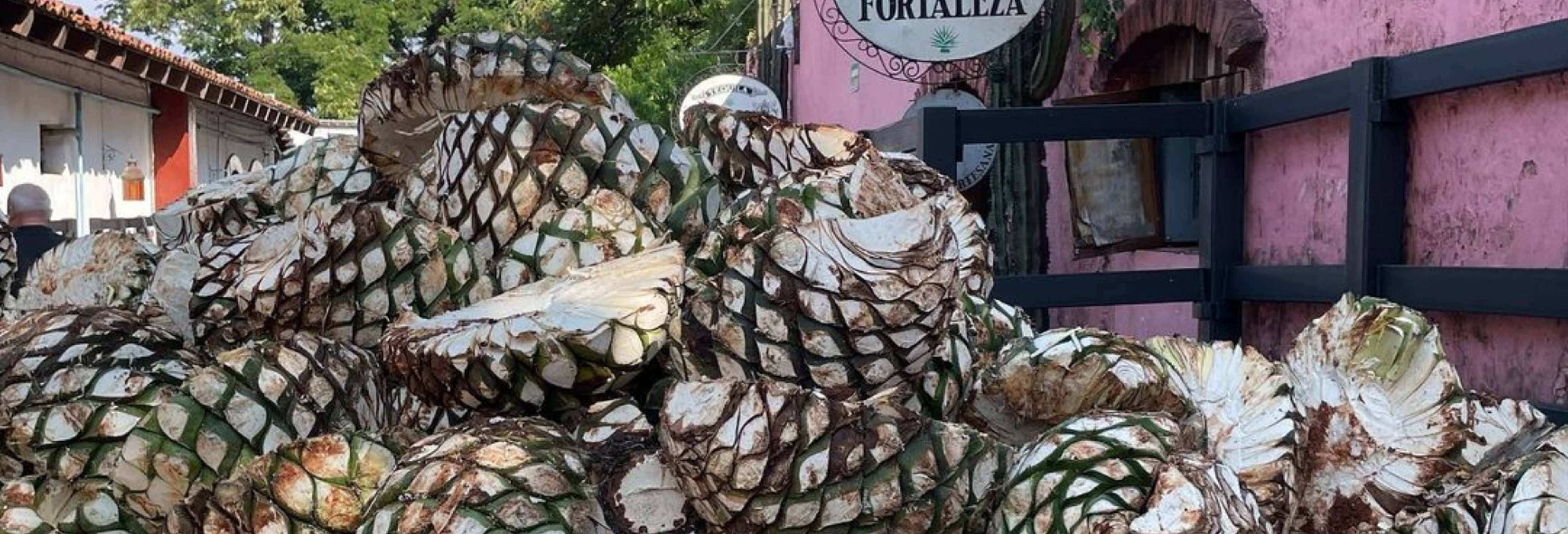 Gastronomia ed enoturismo a Guadalajara