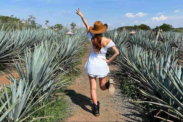 Tour di Tequila e Guachimontones con 3 pernottamenti
