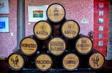 Visita alla distilleria Casa Sauza + Spettacolo di balletto folcloristico