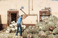 Visita a las destilerías Tequila Selecto y El Cascahuín