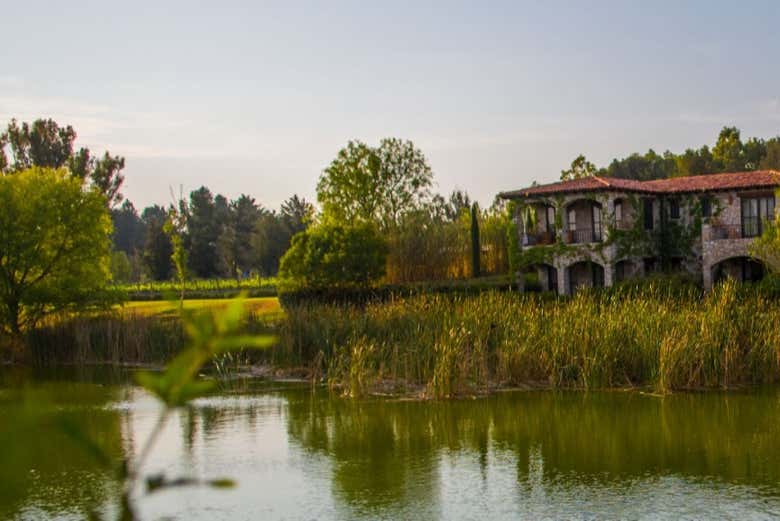 Alrededores de los viñedos