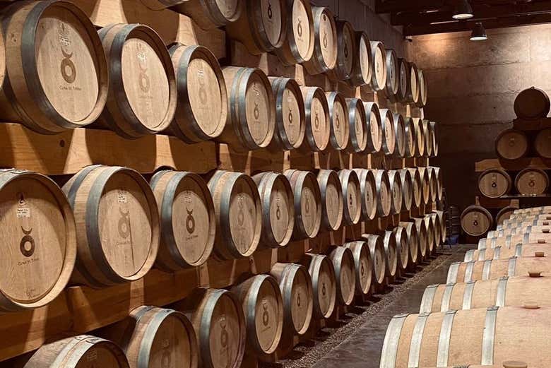 Fûts de la cave Cuna de Tierra