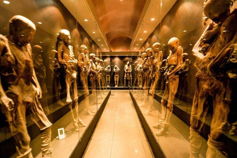 Momias expuestas en el museo