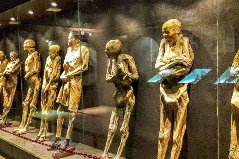 Una de las vitrinas del Museo de las Momias