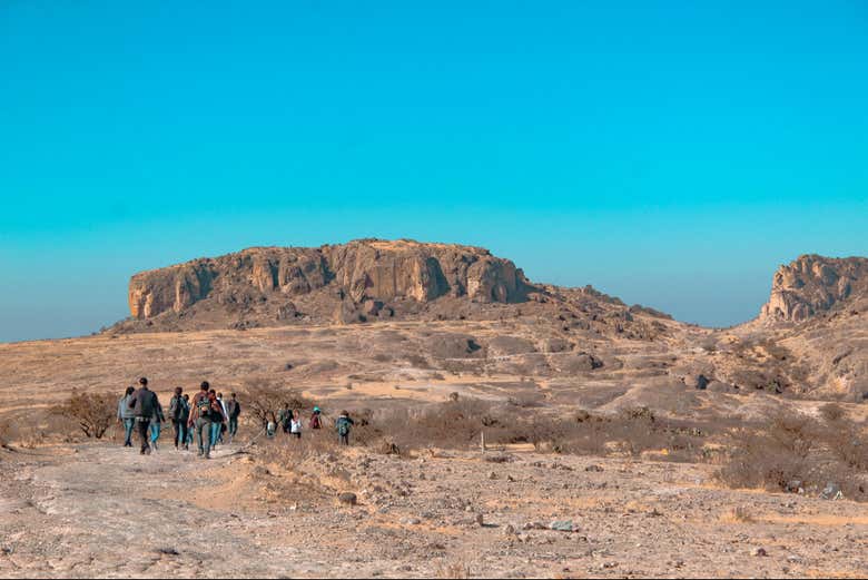 View of the landscape