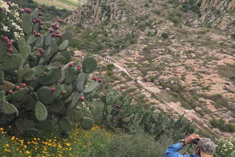 Use your binoculars to discover the landscapes