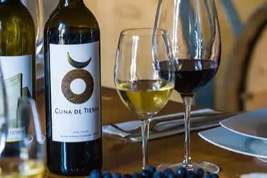 Vins Cuna de Tierra
