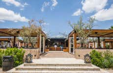 Vineyard Tour + Wine Tasting