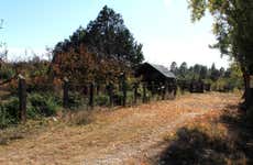 Escursione di 2 giorni al bosco di Yécora