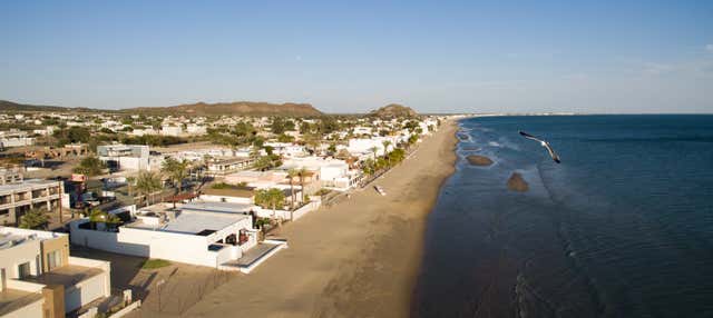 Excursión a Bahía de Kino