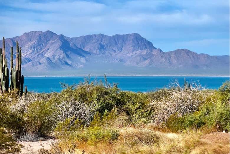 See the island's flora and fauna