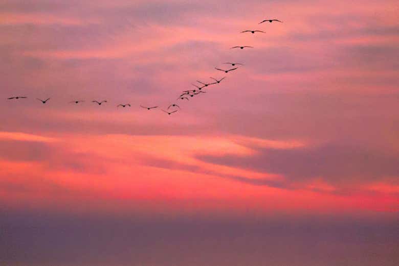 Podréis relajaros en una playa semi virgen
