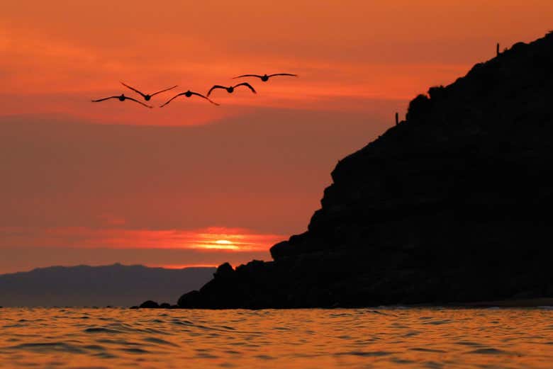 Un hermoso atardecer sobre el mar de Cortés