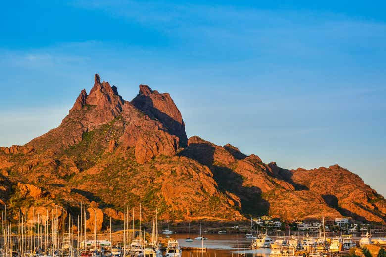 Desert landscapes of Sonora