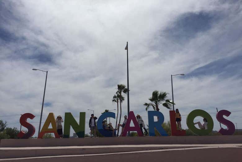 Tour of San Carlos