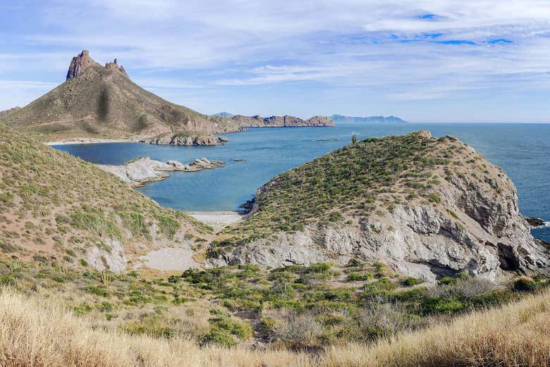 Views of San Carlos from above
