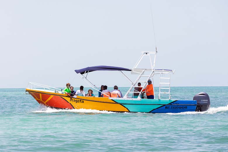 Durante la travesía en busca de los tiburones ballena