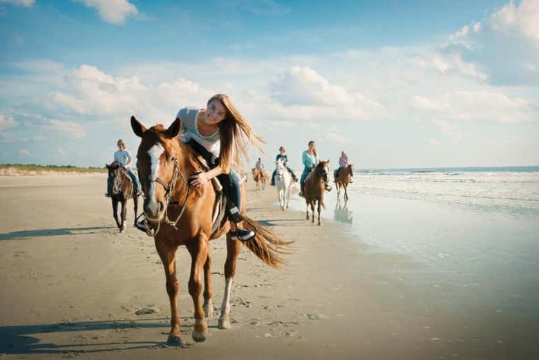 Spend time with these beautiful animals in paradise