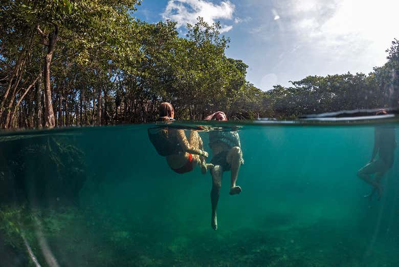 Disfrutando de un año en el Ojo de agua de Yalahau