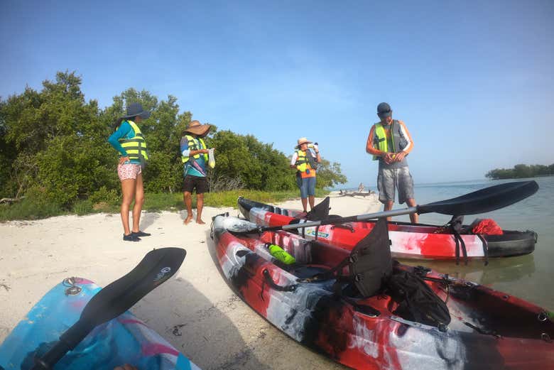 Kayaks pour la balade