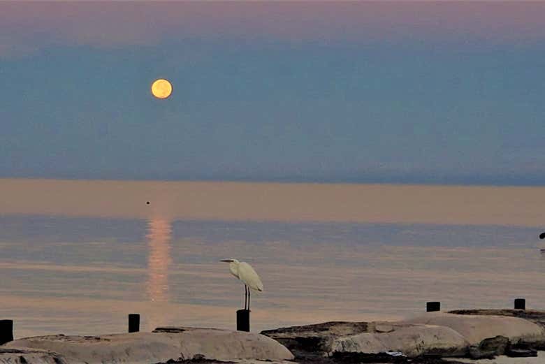 Luna sobre Holbox